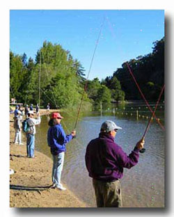 Beginning fly casting