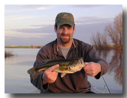 largemouth bass