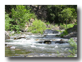small stream near Chico area