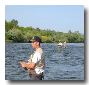 steelhead clinic