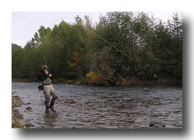 Butte Creek steelhead