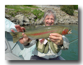 Lower Sacramento River rainbow