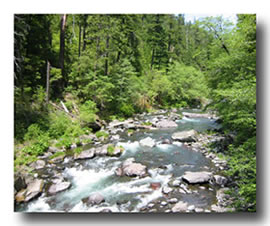 Chico area small stream