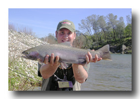 Yuba River rainbow